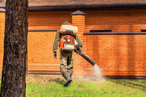 Top rated local Ant Control specialists in Ross, OH